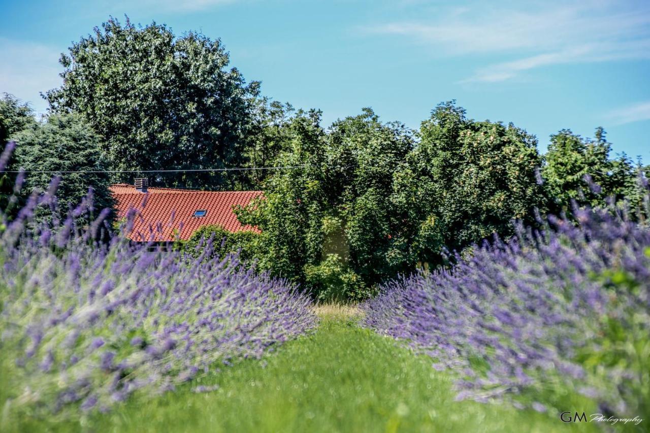 Azienda Agricola La Macina Bregnano Exterior photo